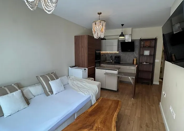 The Portal Infinity Pool And Barbecue Lejlighed Varna